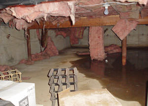 fiberglass insulation dripping off the ceiling of a crawl space in Jobs Cove.